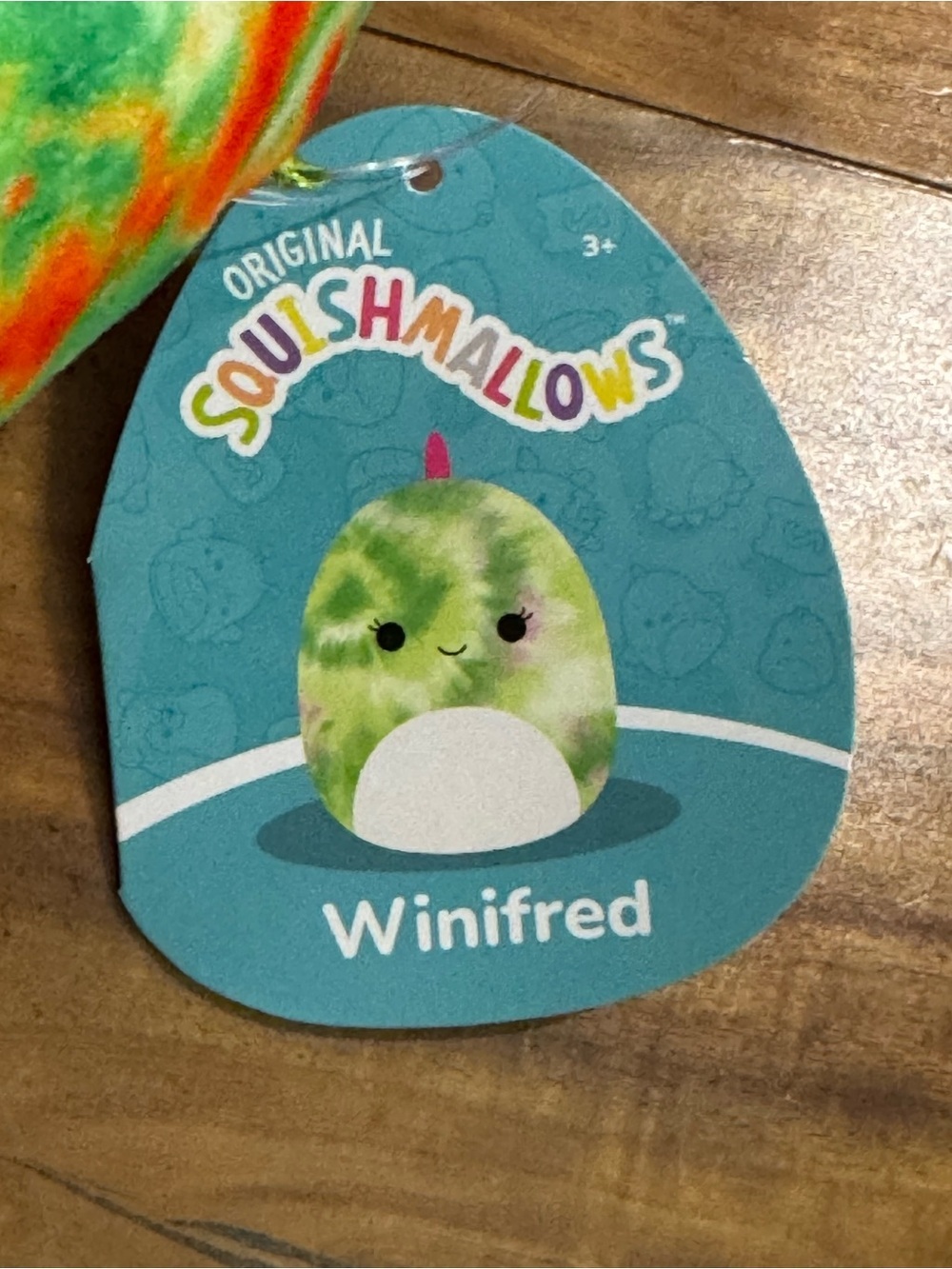 Squishmallow! Winifred the Gecko - Picture 3 of 4